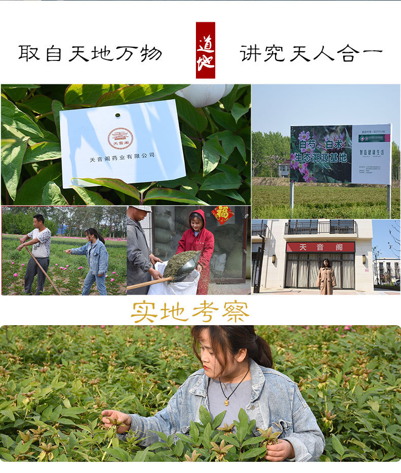 天音閣靈芝_10.jpg