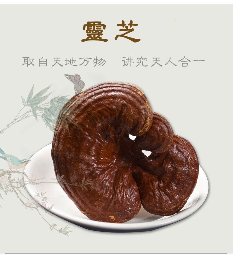 天音閣靈芝_05.jpg