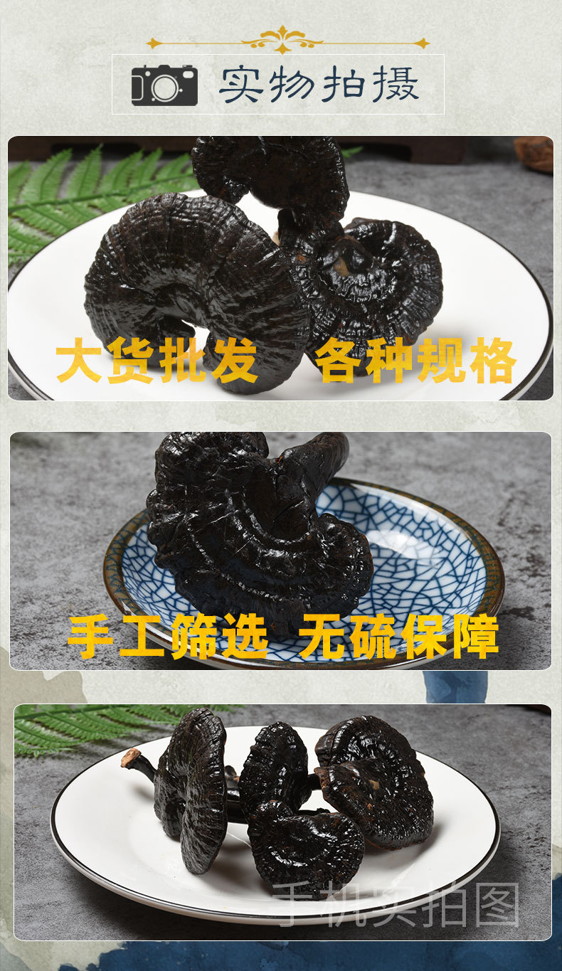 天音閣黑靈芝_09.jpg