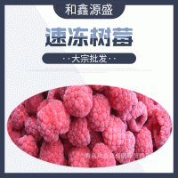 大宗批發(fā) 冷凍樹莓 速凍樹莓 冷凍樹莓碎 速凍樹莓碎