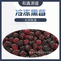 大宗批發(fā) 冷凍黑莓 速凍黑莓