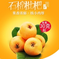 四川雅安漢源石棉枇杷大五星鮮果琵琶多汁現(xiàn)摘發(fā)貨新鮮水果非米易