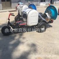 果樹殺蟲噴霧機 養(yǎng)殖場消毒殺蟲防疫機 大棚打藥機