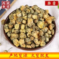 胎菊新貨批發(fā) 桐鄉(xiāng)頭采胎菊 胎菊花杭白菊散裝500g 現(xiàn)貨供應