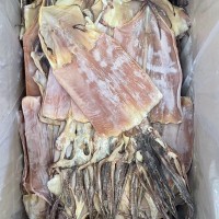 海產干貨 水產干貨批發(fā) 微咸干魷魚 魷魚干 魷魚