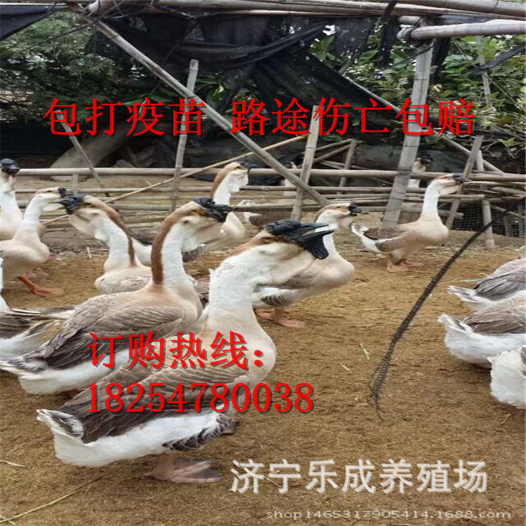 微信圖片_2020061922343433.jpg
