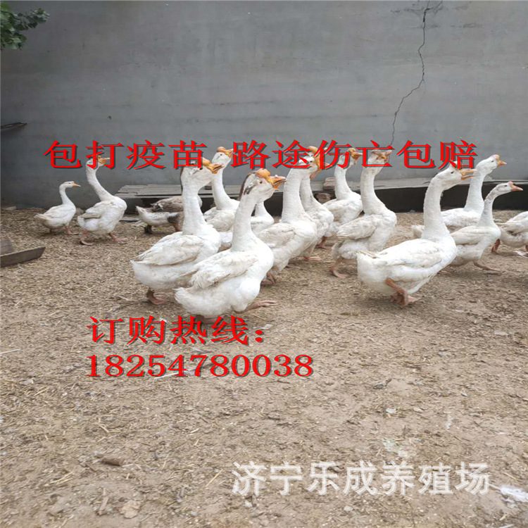 微信圖片_2020061922343423.jpg