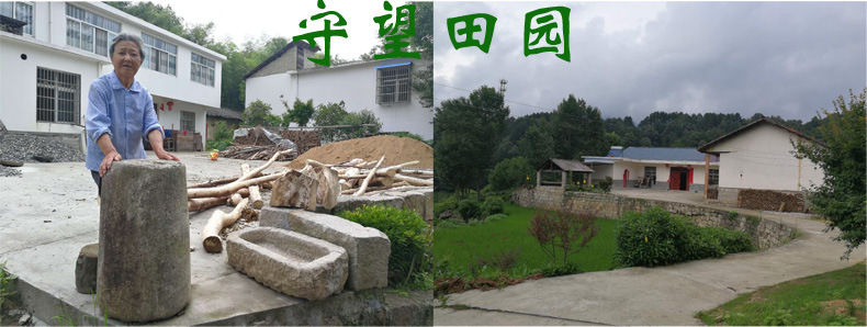 未標題-1.jpg