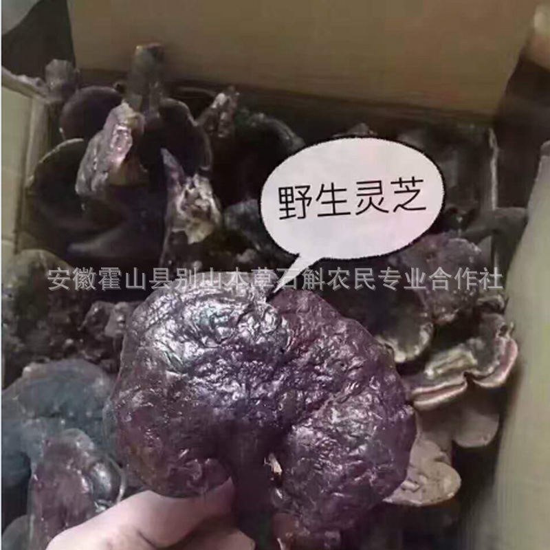 主圖副本
