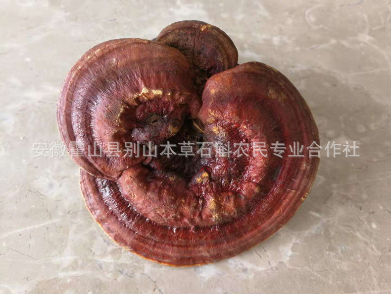 微信圖片_20181031205321.jpg