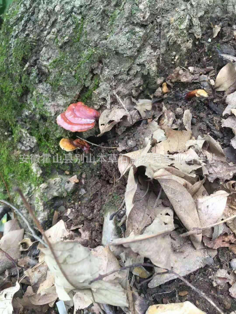 微信圖片_20181031220514.jpg