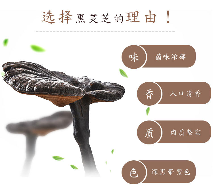 黑靈芝-詳情_04