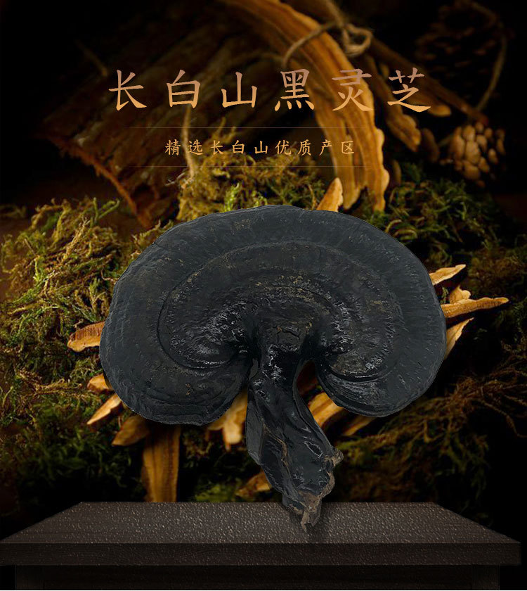 黑靈芝-詳情_01