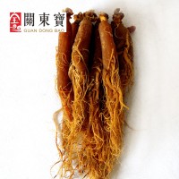 東北特產(chǎn) 長白山紅參 紅參打粉 6年根15-20枝頭 大量批發(fā)