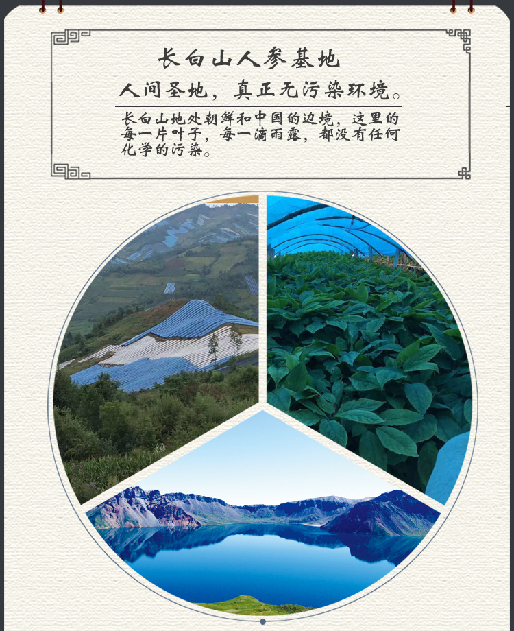 白參_07