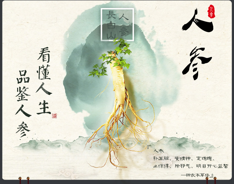 白參_01