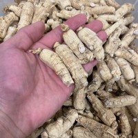 500g西洋參整枝 長(zhǎng)白山花旗參段正品10克西洋參