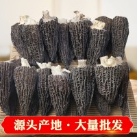 云南產(chǎn)地批發(fā)菌湯包羊肚菌干貨250g 大號(hào)剪柄食用菌人工酒店食材