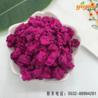 宜果食品FD凍干火龍果丁8&8mm 廠家批發(fā) 紅心火龍果干