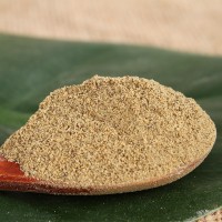 黑胡椒粉 廠家供應 調味香料 黑胡椒粉 西餐調料黑胡椒碎
