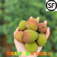 【順豐為主 廣東妃子笑荔枝】 非白糖罌非龍眼5斤新鮮水果一件代