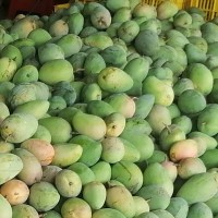 名味 速凍臺農(nóng) 冷凍臺農(nóng) 臺農(nóng)芒果 廠家 速凍果蔬
