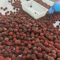 廠家直銷出口品質(zhì)楊梅水果果肉整箱蛋糕烘焙原料大份量商用