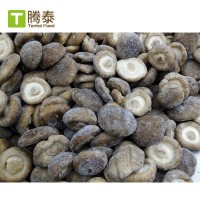 大批量現(xiàn)貨廠家直供808速凍香菇圓 冷凍香菇絲
