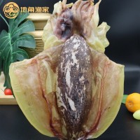 北海墨魚干貨廠家批發(fā)小烏賊目魚干中大號北海墨魚干海鮮干貨批發(fā)