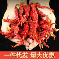 線辣椒甘肅高臺特產(chǎn)新疆大盤雞長辣皮子辣子雞干辣椒非二荊條批發(fā)