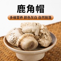 鹿角帽正品長白山產(chǎn)地鹿角鹿托盤吉林鹿鄉(xiāng)梅花鹿角帽