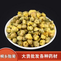 產(chǎn)地正宗桐鄉(xiāng)優(yōu)質(zhì)胎菊散裝菊花茶不硫杭白菊胎菊王新貨批發(fā)500g起