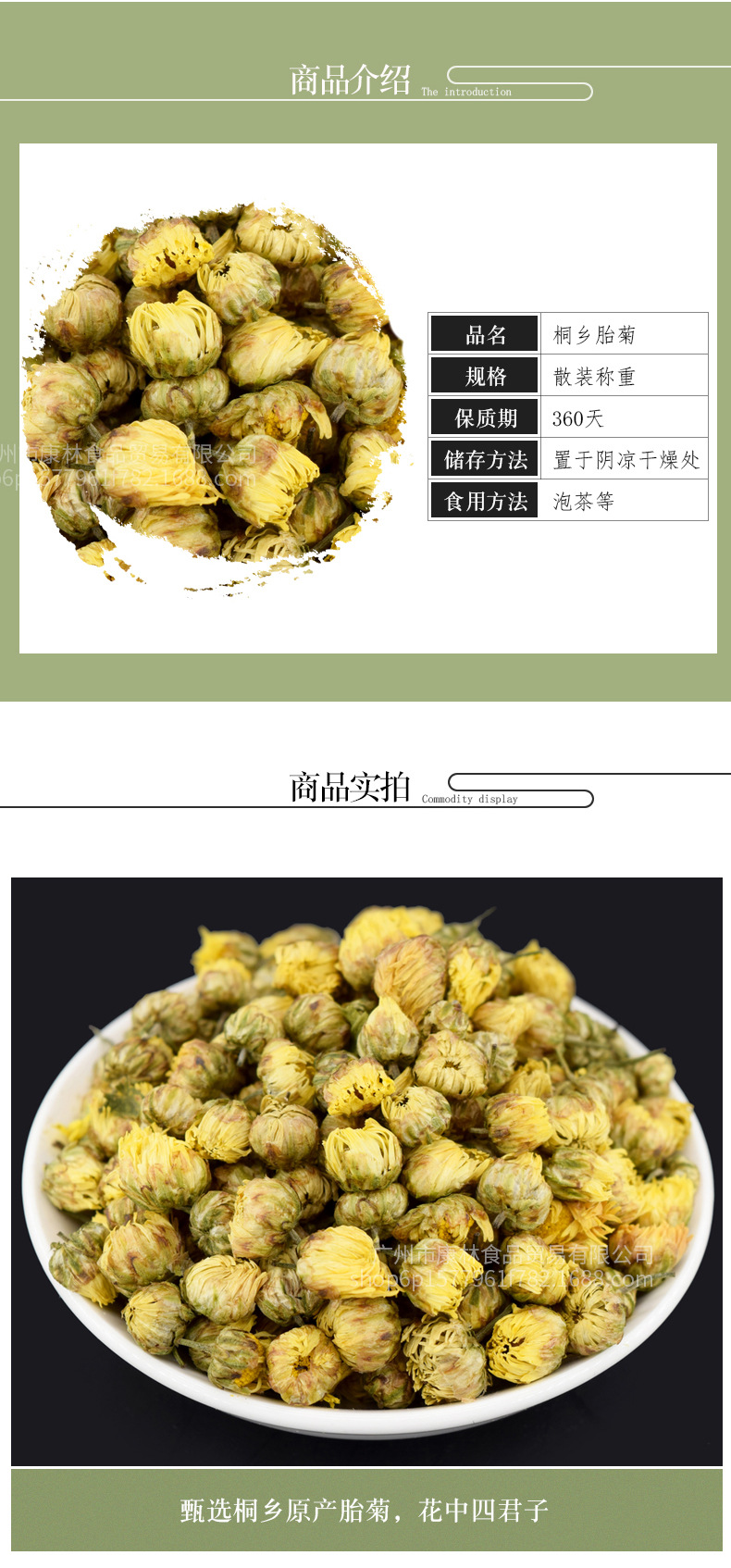 桐鄉(xiāng)胎菊_03.jpg