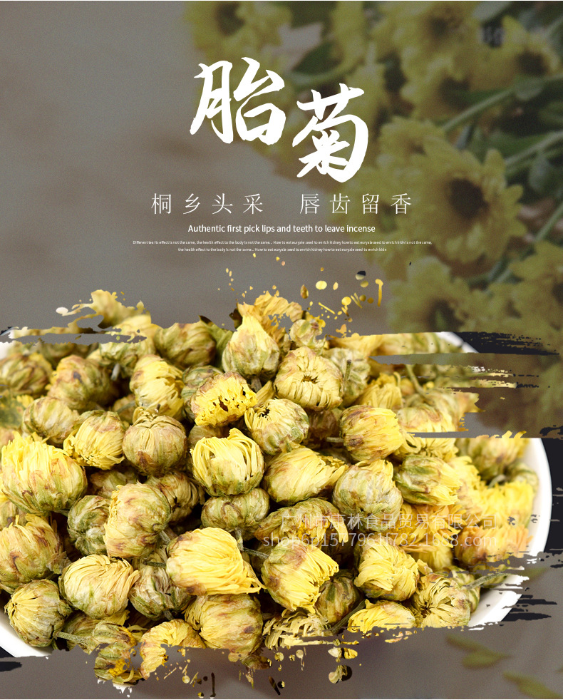 桐鄉(xiāng)胎菊_01.jpg