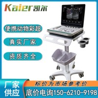 獸用超聲儀測孕儀獸用b超機 寵物動物b超儀 手提筆記本便攜式