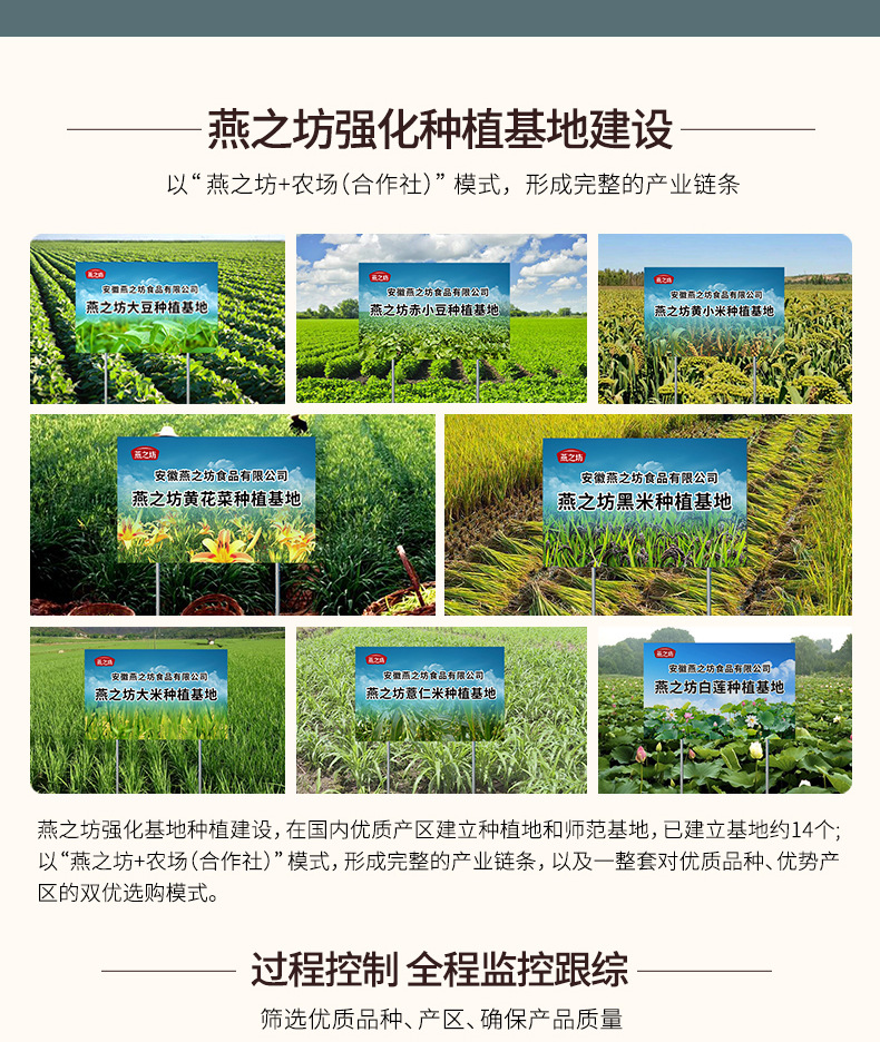 長(zhǎng)粒赤小豆750_10