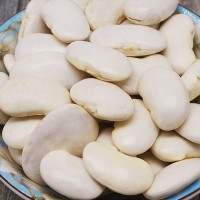 白蕓豆500克農(nóng)家新鮮大白豆扁豆腰豆白腎豆煲湯煮粥五谷雜糧粗糧