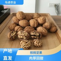手工挑選 核桃堅果 產(chǎn)地直發(fā) 馬進農(nóng)業(yè)種植合作社