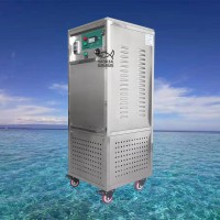 廠(chǎng)家直供高濃度10G氧氣源臭氧發(fā)生器尾水凈化處理空氣凈化臭氧機(jī)