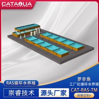 工廠(chǎng)化循環(huán)水養(yǎng)殖系統(tǒng) 高效高密度羅非魚(yú)鯰魚(yú)魚(yú)類(lèi)養(yǎng)殖設(shè)備