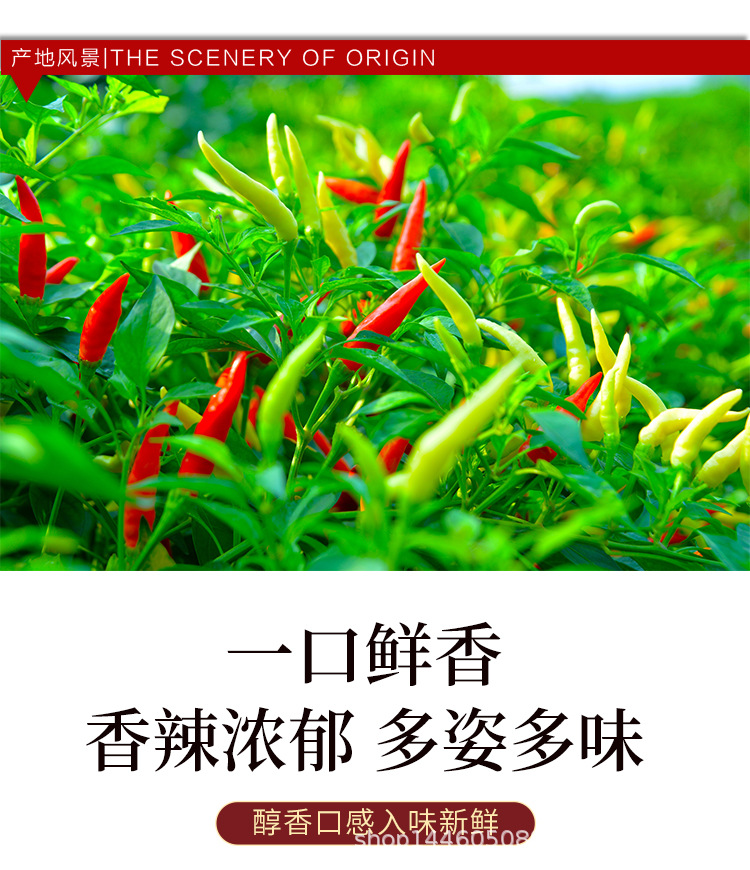 辣椒_04.jpg
