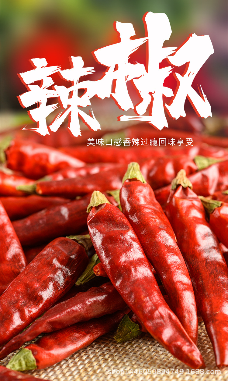 辣椒_01.jpg