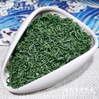 濃香綠版松陽香茶2023新茶產地供應高山云霧日照炒青浙江綠茶批發(fā)