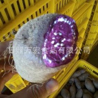 出口紅薯