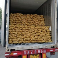 粉糯農(nóng)家新鮮蔬菜土豆 山東萊蕪特產(chǎn)黃心土豆 黃皮大土豆馬鈴薯