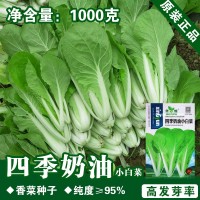 小白菜種子小白菜籽白菜籽油菜種子雞毛菜種子蔬菜種子批發(fā)