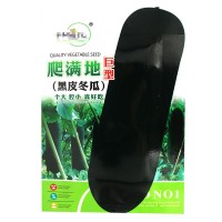 一串鈴小冬瓜種子 農(nóng)田菜園栽培易儲(chǔ)藏老北京串八冬瓜蔬菜籽