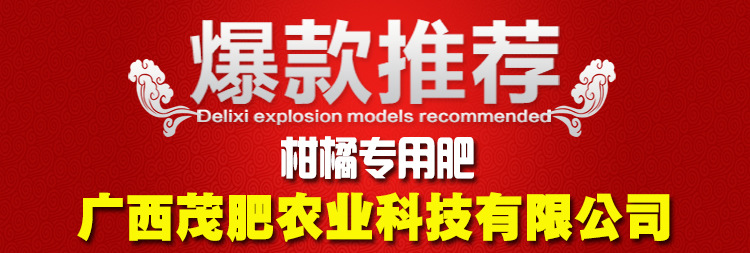 爆款廣告圖.jpg