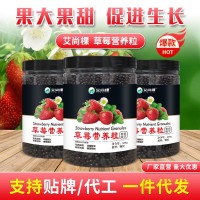 批發(fā)草莓肥料有機(jī)肥氮磷鉀顆粒肥營養(yǎng)粒一件代發(fā)包郵家用盆栽花肥