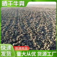 牛屎肥純干牛糞肥農(nóng)家肥牛糞有機(jī)肥料花蔬菜用天然農(nóng)家牛糞塊